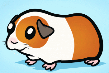 xsv_how-to-draw-a-guinea-pig-for-kids-tutorial-drawing